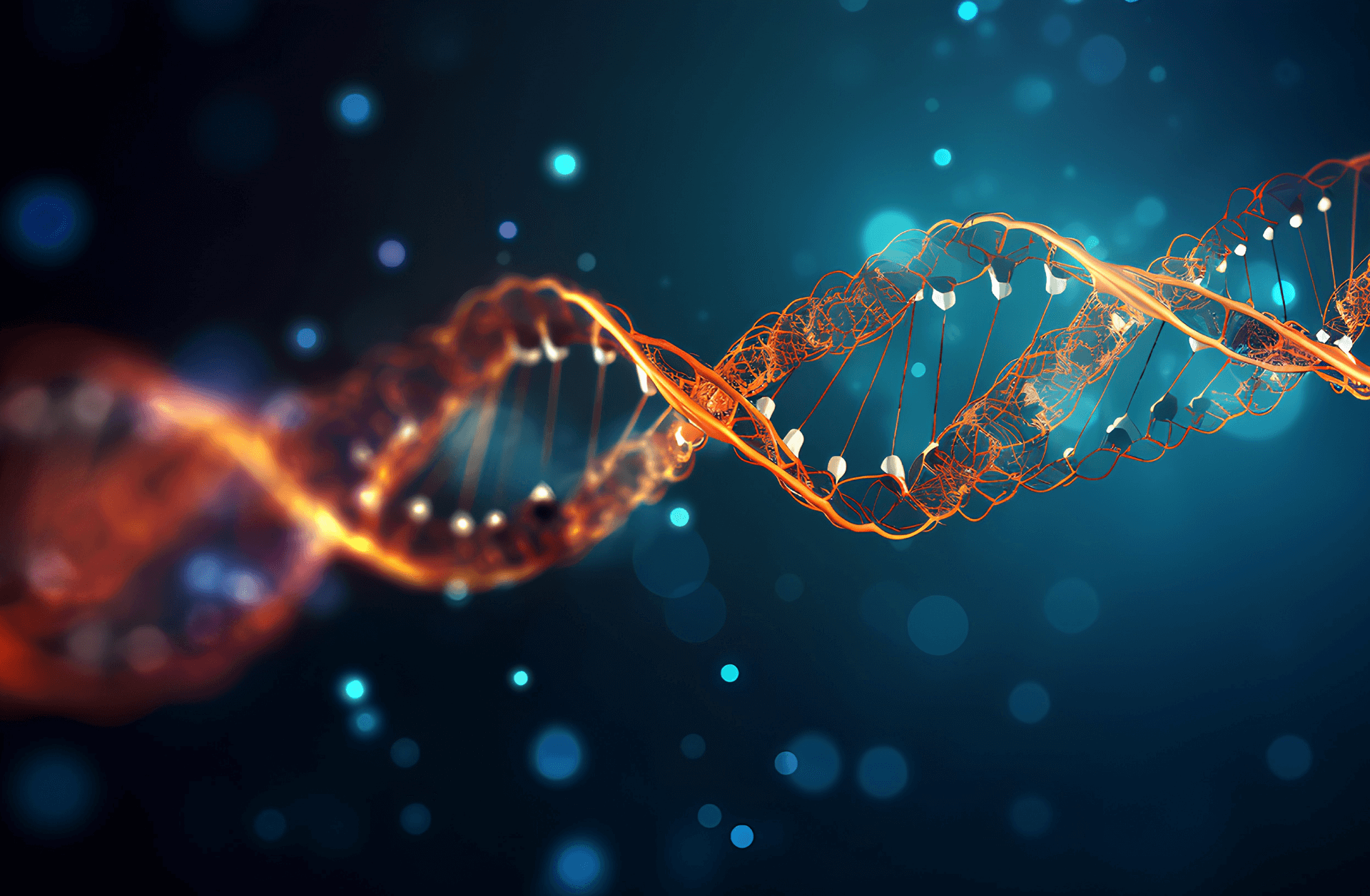 Service 3 — Your Medical Practice